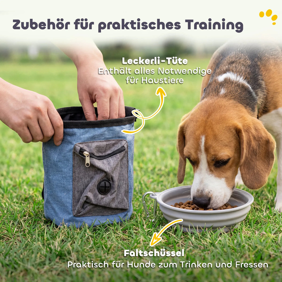 Šunų dresūros rinkinys Agility 11 dalių su tuneliais ir kliūtimis
