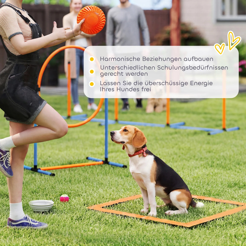 Šunų dresūros rinkinys Agility 11 dalių su tuneliais ir kliūtimis