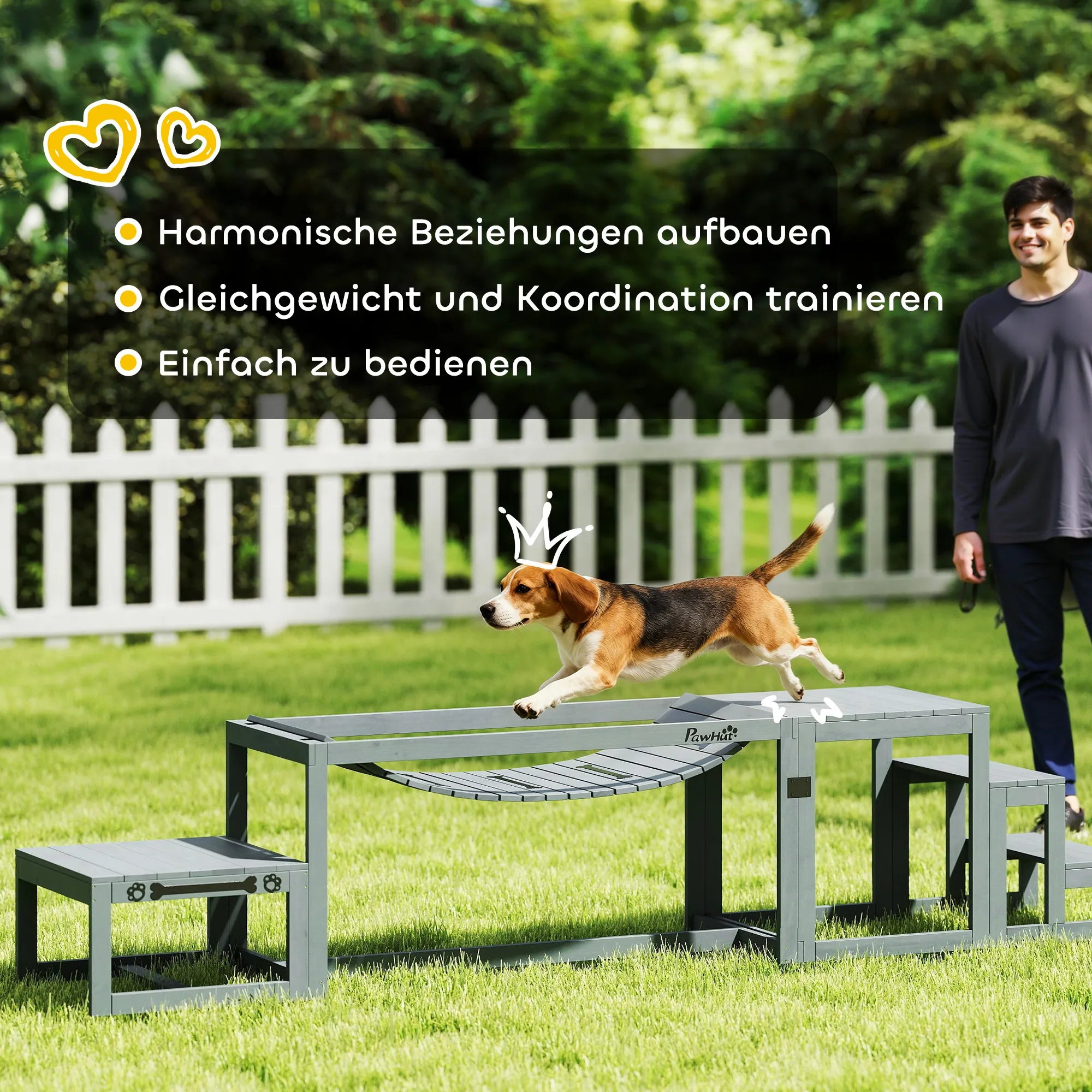 Šunų dresūros rinkinys su kliūtimis, iki 40 kg, pilkas