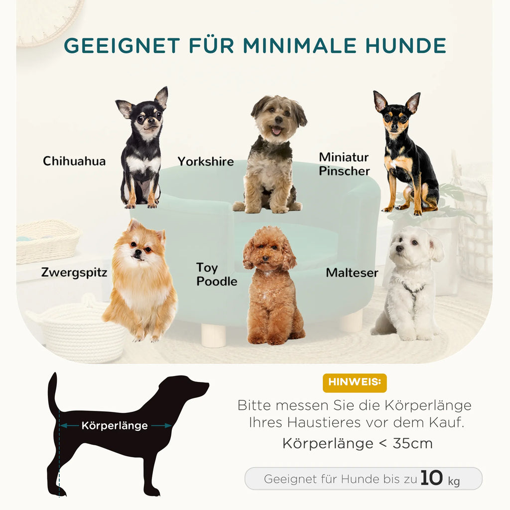Infografika apie tinkamas mažų šunų veisles ir sofos svorio ribą