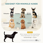 Infografika apie tinkamas mažų šunų veisles ir sofos svorio ribą