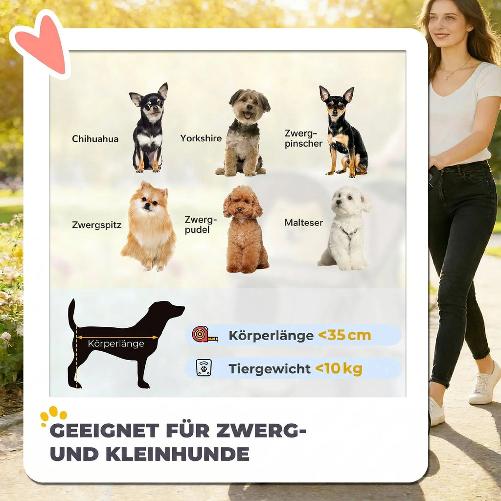 Lentelė su mažų šunų veislėmis ir rekomenduojamu iki 35 cm kūno ilgiu