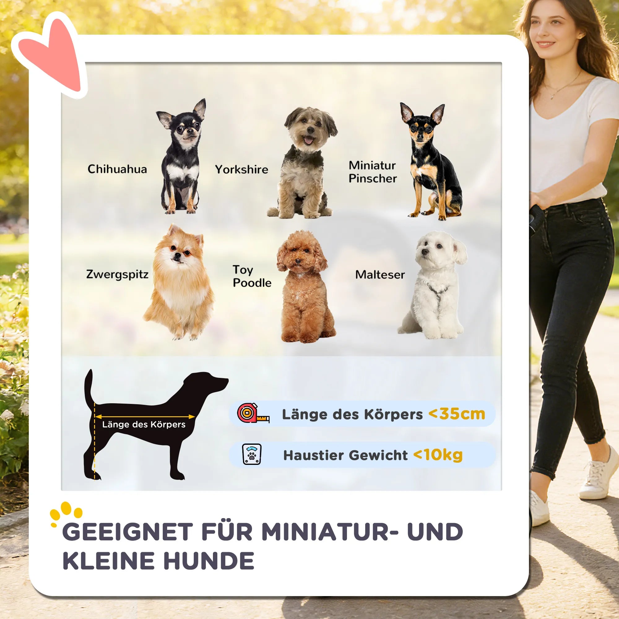 Šunų vežimėlis sulankstomas su krepšiu iki 10 kg, pilkas