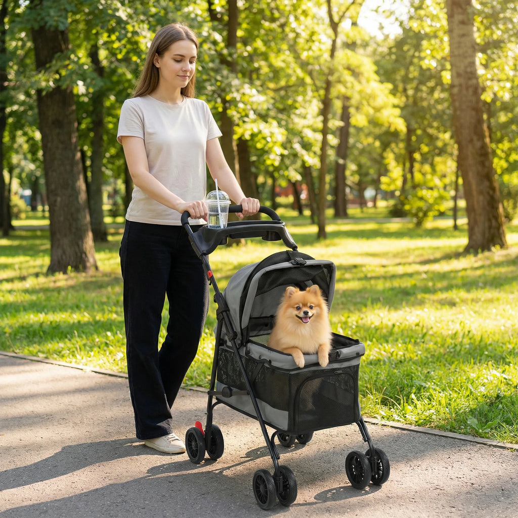 Moteris stumia pilką šunų vežimėlį parke su mažu šunimi