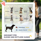 Tinka mažų ir vidutinių veislių šunims: kūno ilgis iki 43 cm, svoris iki 20 kg