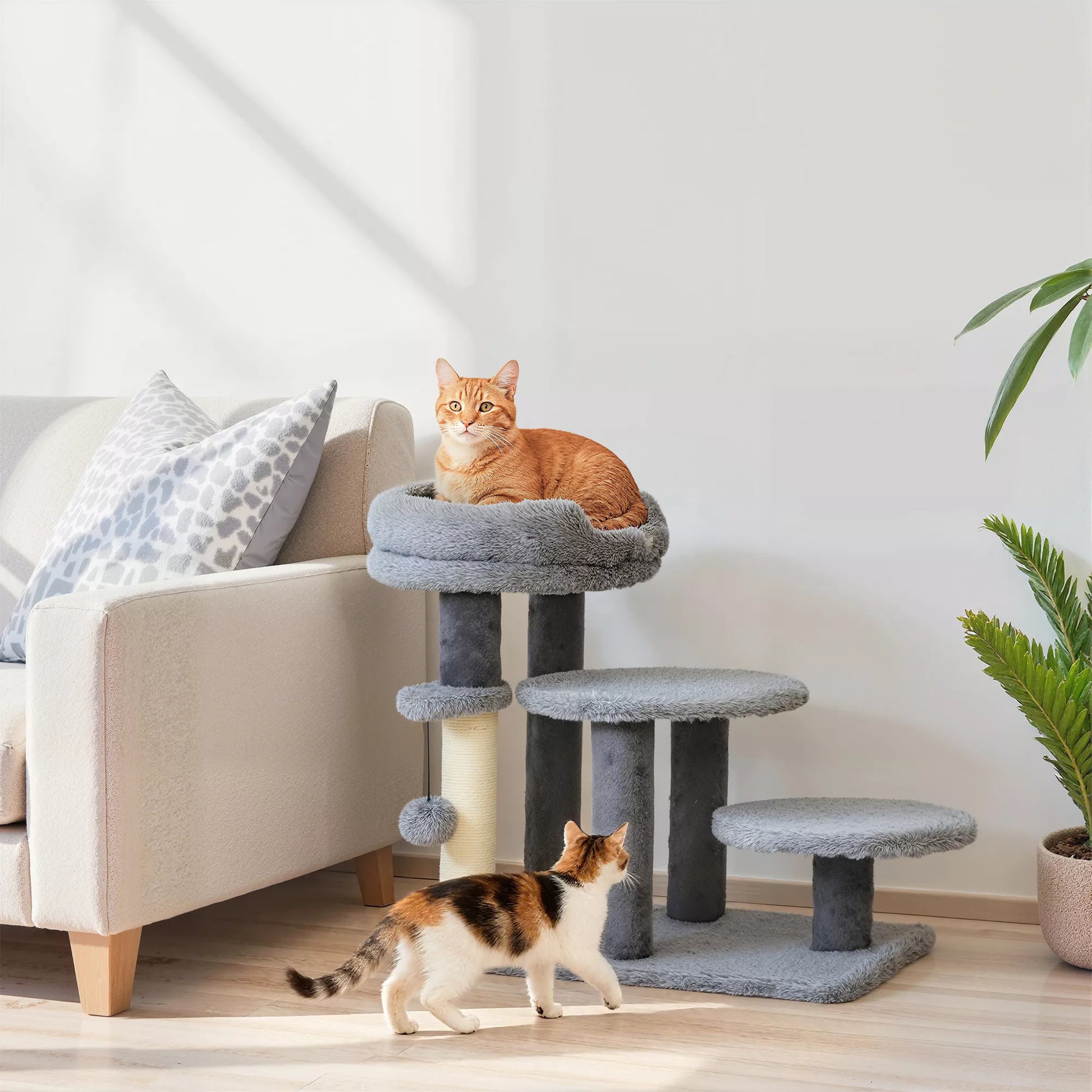 Kratzbaum ir Katzenstiege, platus pagrindas, pliušinis audinys, sisalio kratzstele, pilka