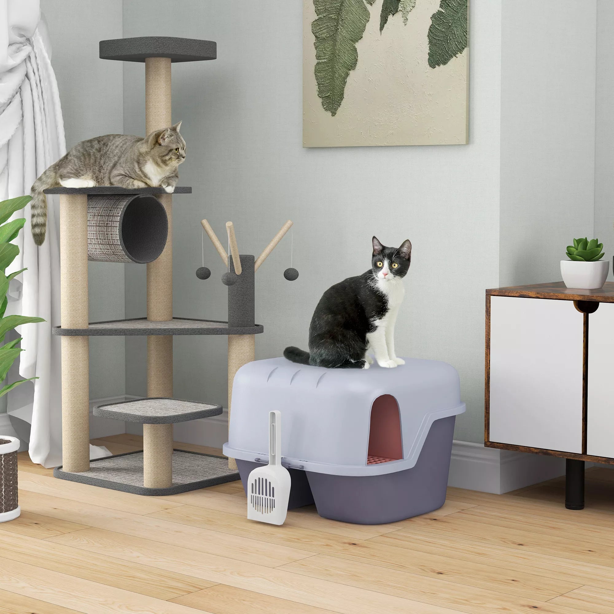 Katė šalia uždaros violetinės katės tualeto dėžės kambaryje