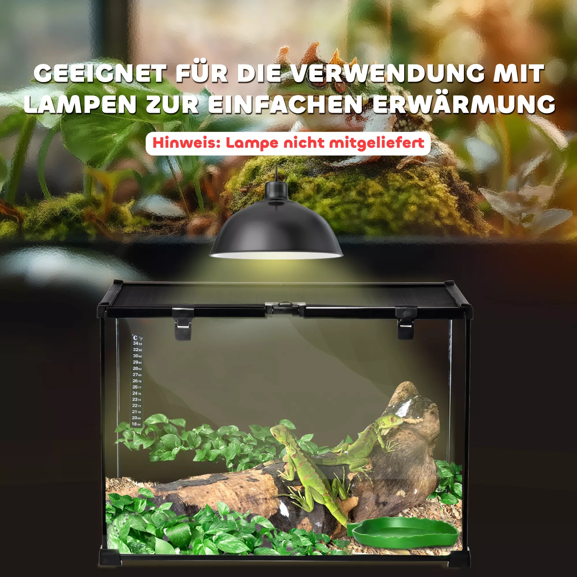 Terariumas ropliams Reptile Šėrimo dėžutė Stiklinis terariumas Amfibijos Voragyviai su termometru Roplių veisimo dėžutė Sraigės Amfibijos Vabzdžiai Vėžliai Juoda 50 x 30 x 35 cm