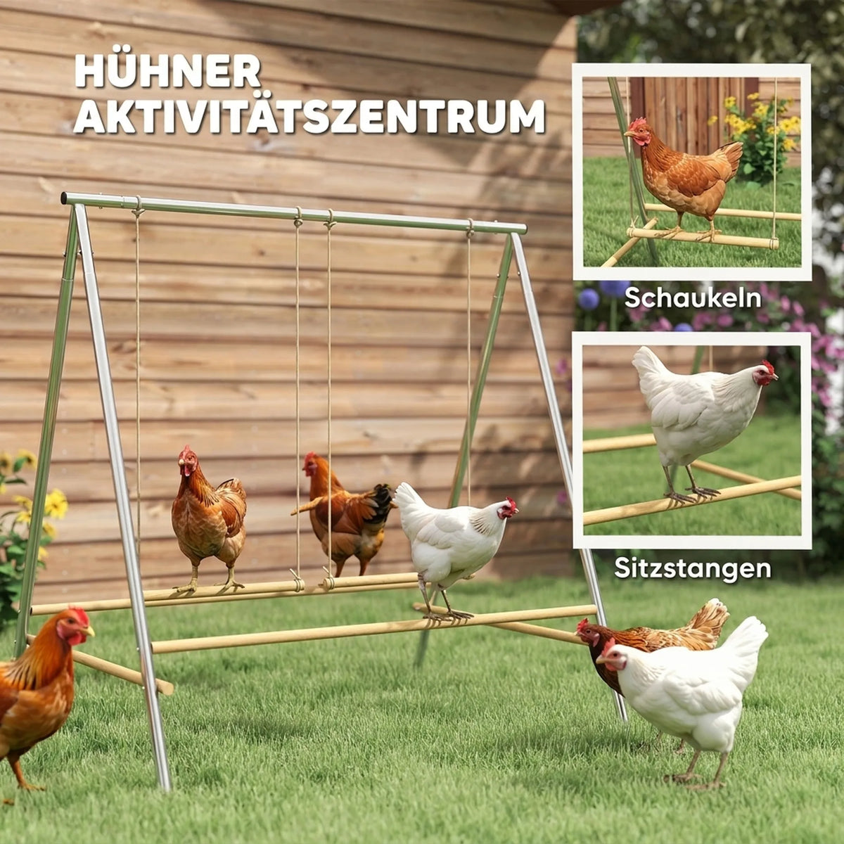 Schema rodanti vištas ant sūpynių ir laktų su detaliais vaizdais