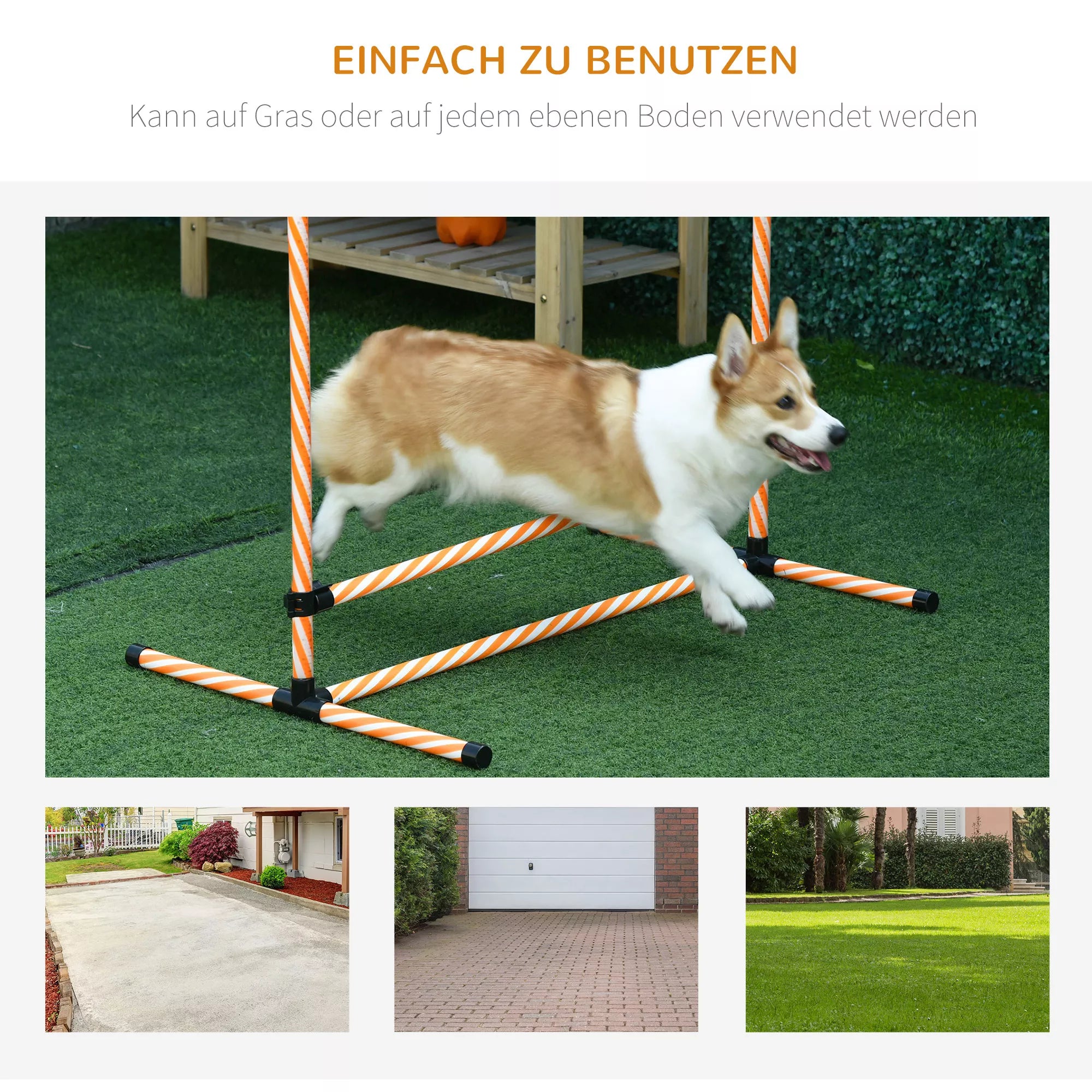 Agility rinkinys šunims, 6 vnt. Agility įrangos rinkinys su pinti strypais, švilpuku, šunų dresavimo reikmenimis ir nešimo krepšiu, skirtas parkui, sodui, oranžinės spalvos.