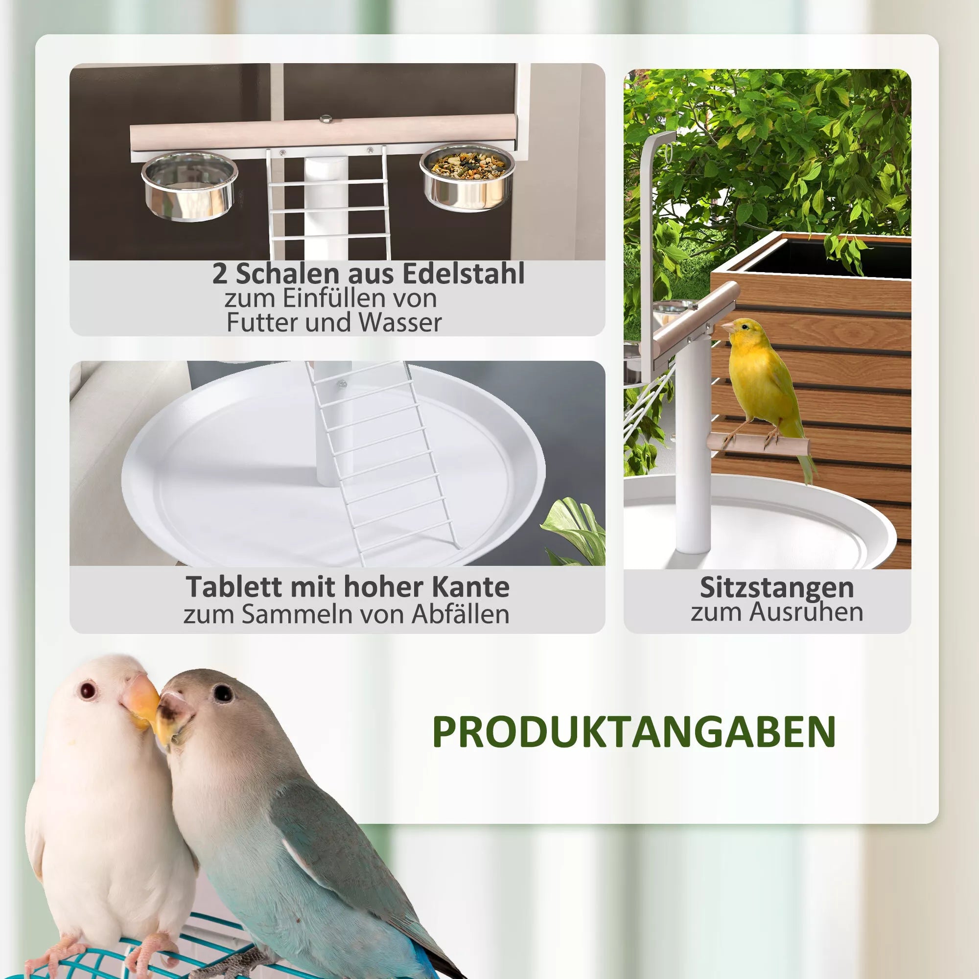 Papūgų sėdynės informacinė grafika apie dubenėlius ir lakteles
