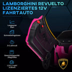 Grafika apie licencijuotą 12 V Lamborghini automobilį