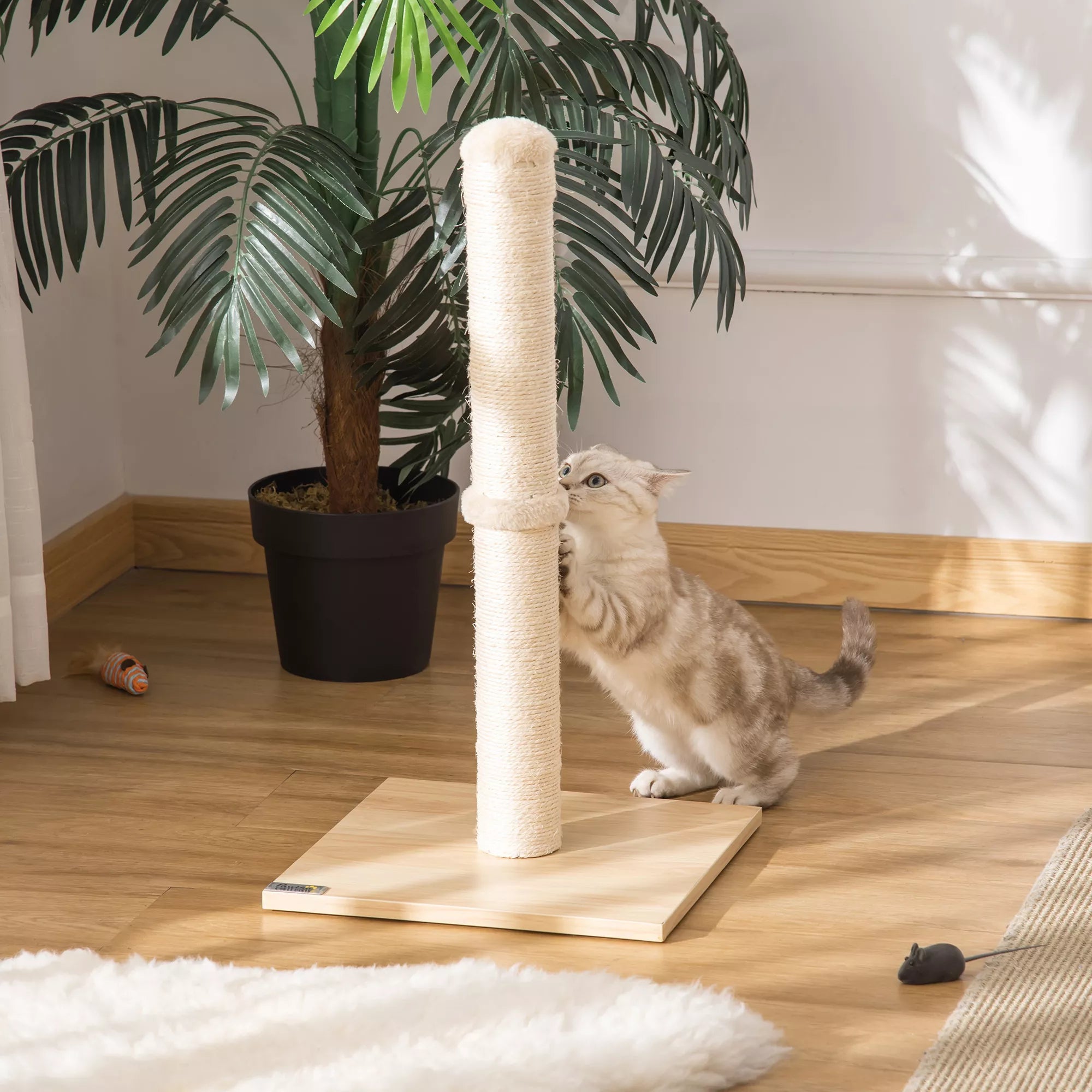 Katės draskyklė stulpas su žaislu, 60 cm, smėlio/ąžuolo spalvos