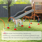 Šunų agility rinkinys sode, šalia vaikai