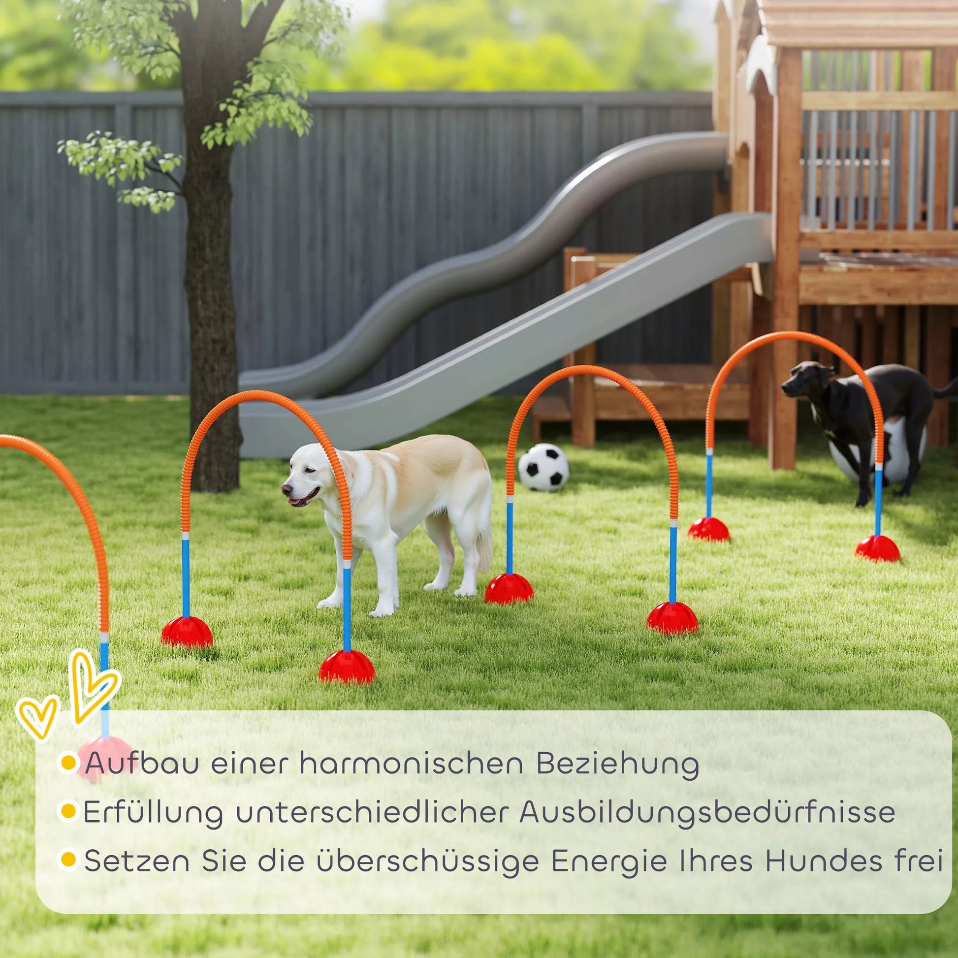 4 dalių šunų agility treniruočių įranga su 4 durimis, reguliuojamo pločio, su nešiojimo krepšiu, skirta sodui, mėlynos spalvos