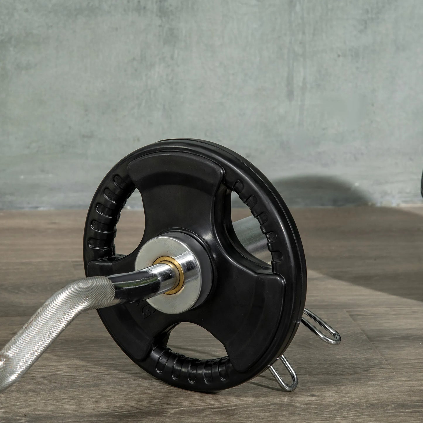 Hantelio diskas, 2 vnt. rinkinys, 10 kg vienam diskui, trys rankenos, grindų nebraižantis gumos apvalkalas, metalas