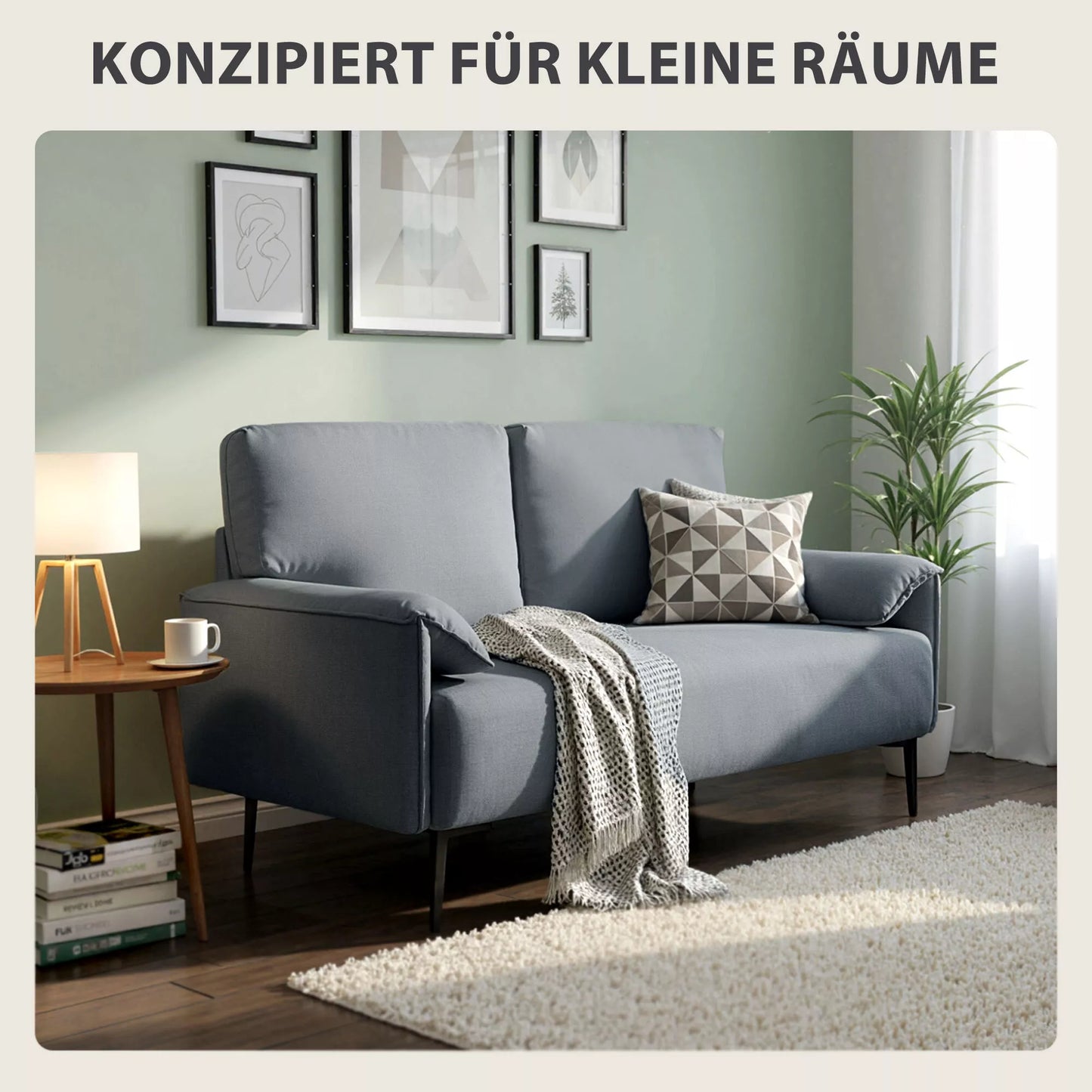 2-vietė sofa, storos pagalvės, aksominė apmušalas, minkšta sofa, juoda