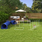 Mėlynas šunų agility rinkinys sode su šunimi