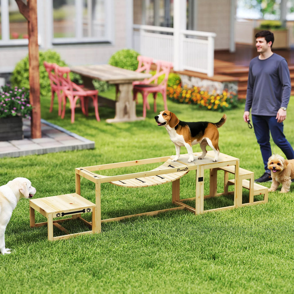 Agility rinkinys šunims, šunų treniruočių konstrukcija su tiltu, laiptais, platforma, pušies mediena, dideliems šunims iki 40 kg