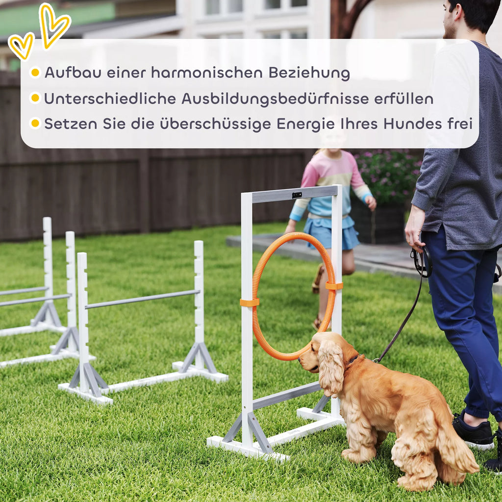 Agility rinkinys šunims, 4 dalių dresūros įranga su aukščio reguliuojamomis kliūtimis ir lanku, baltas