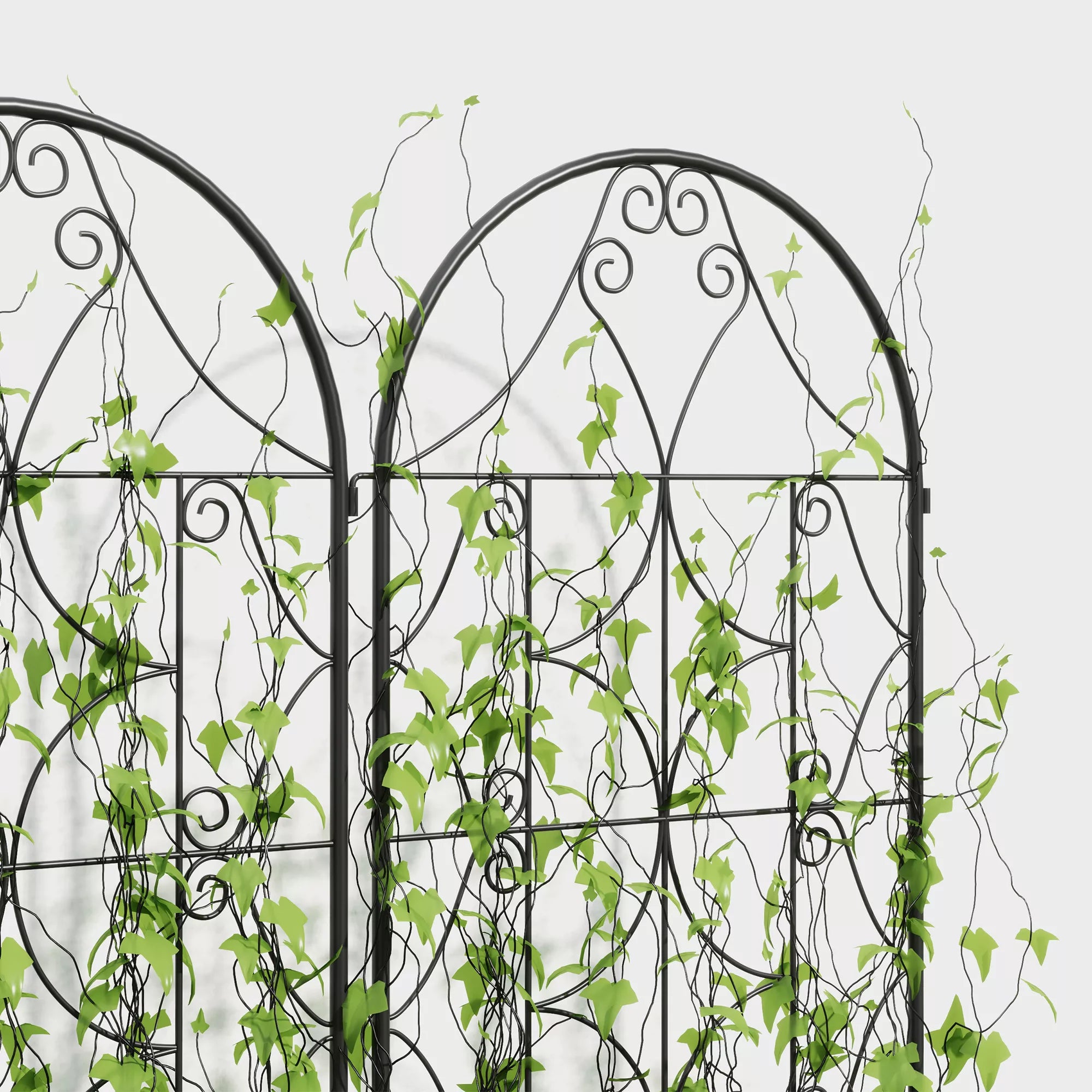 Metalinės grotelės vijokliniams augalams 50x150 cm juodos (2 vnt.)