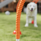 Šuo bėga per oranžinį šunų agility tunelį
